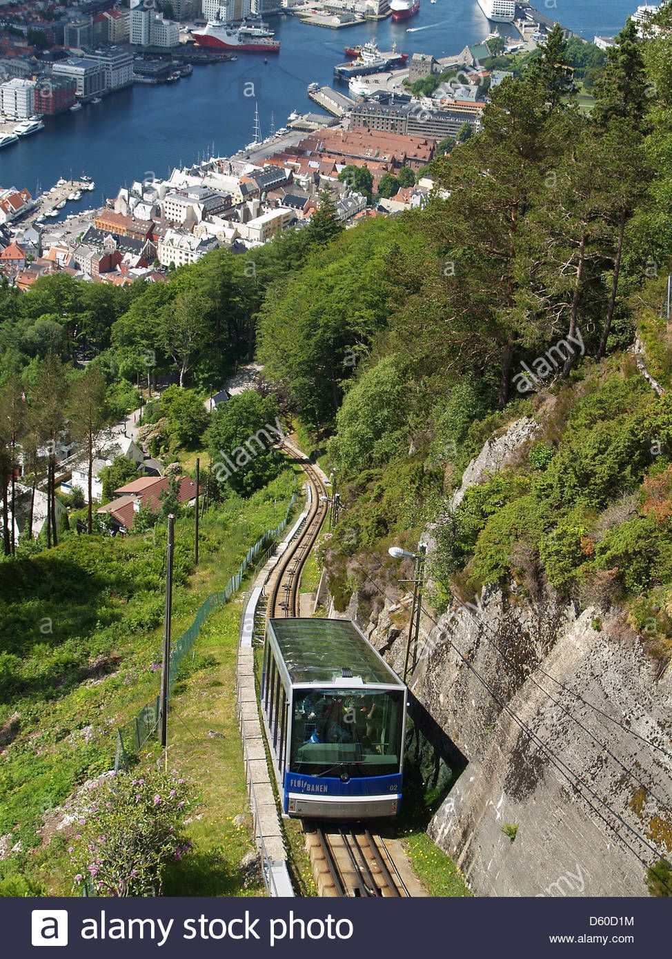 The Girl on the Fløibane